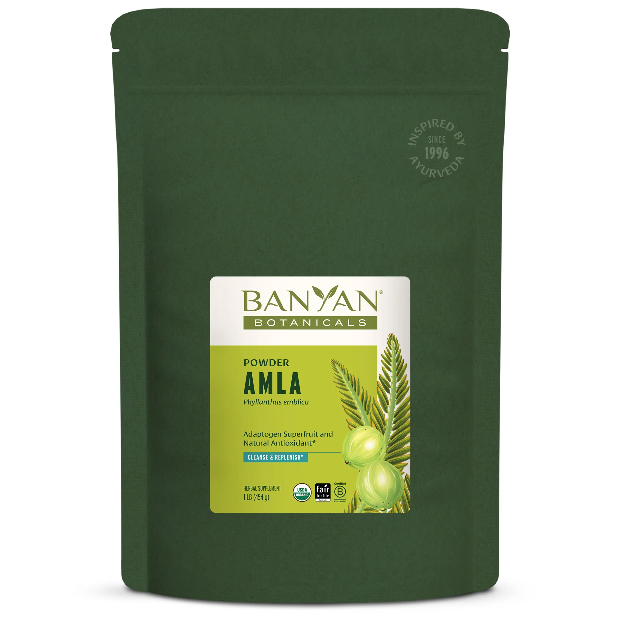Amla (Amalaki) powder - Image 3