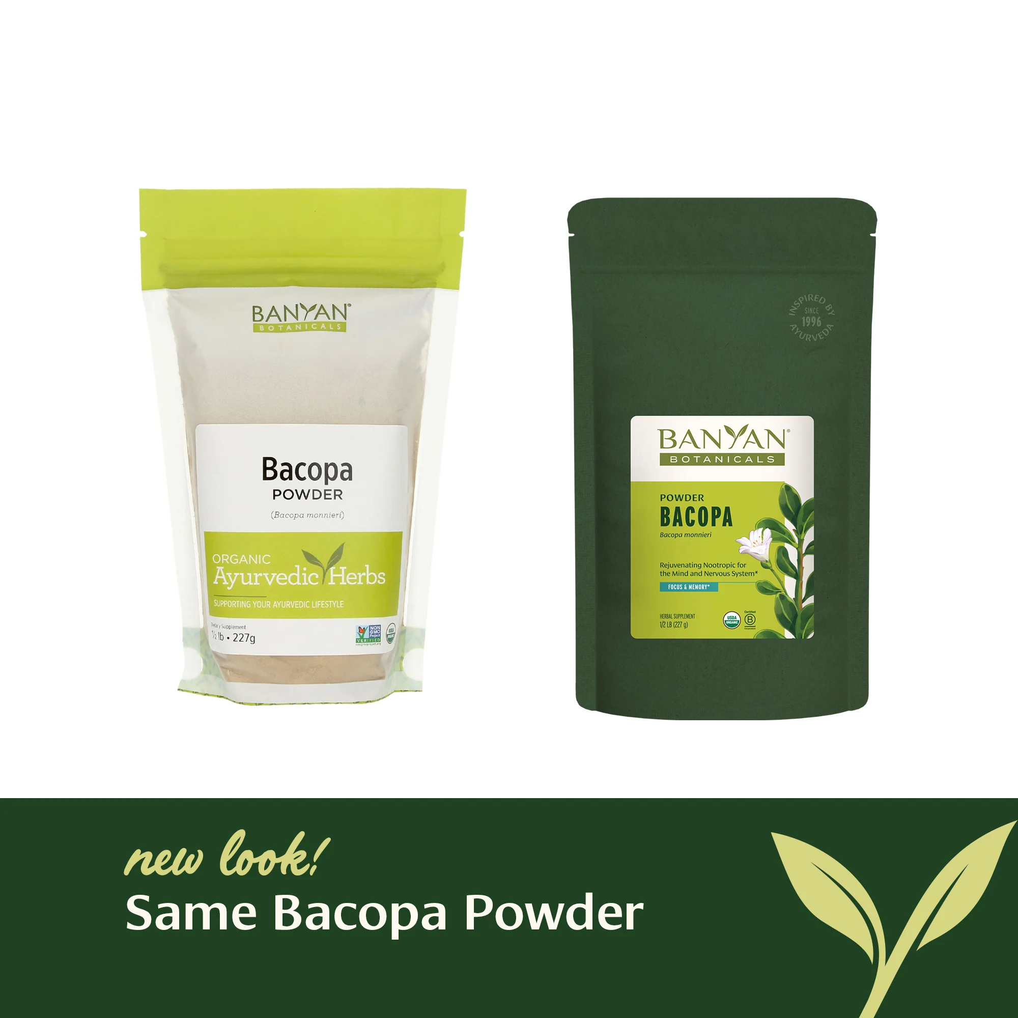 Bacopa powder - Image 7