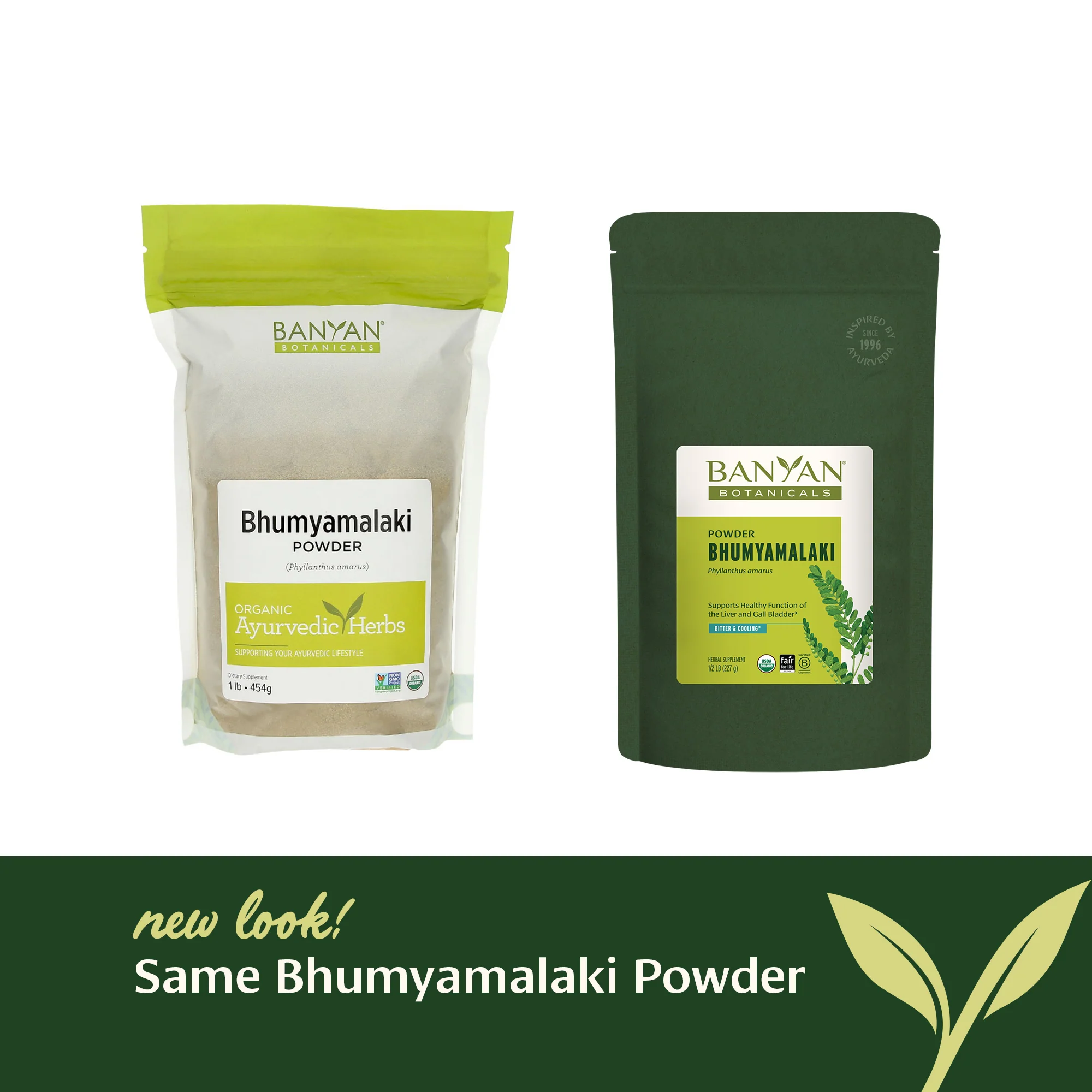 Bhumyamalaki powder - Image 9