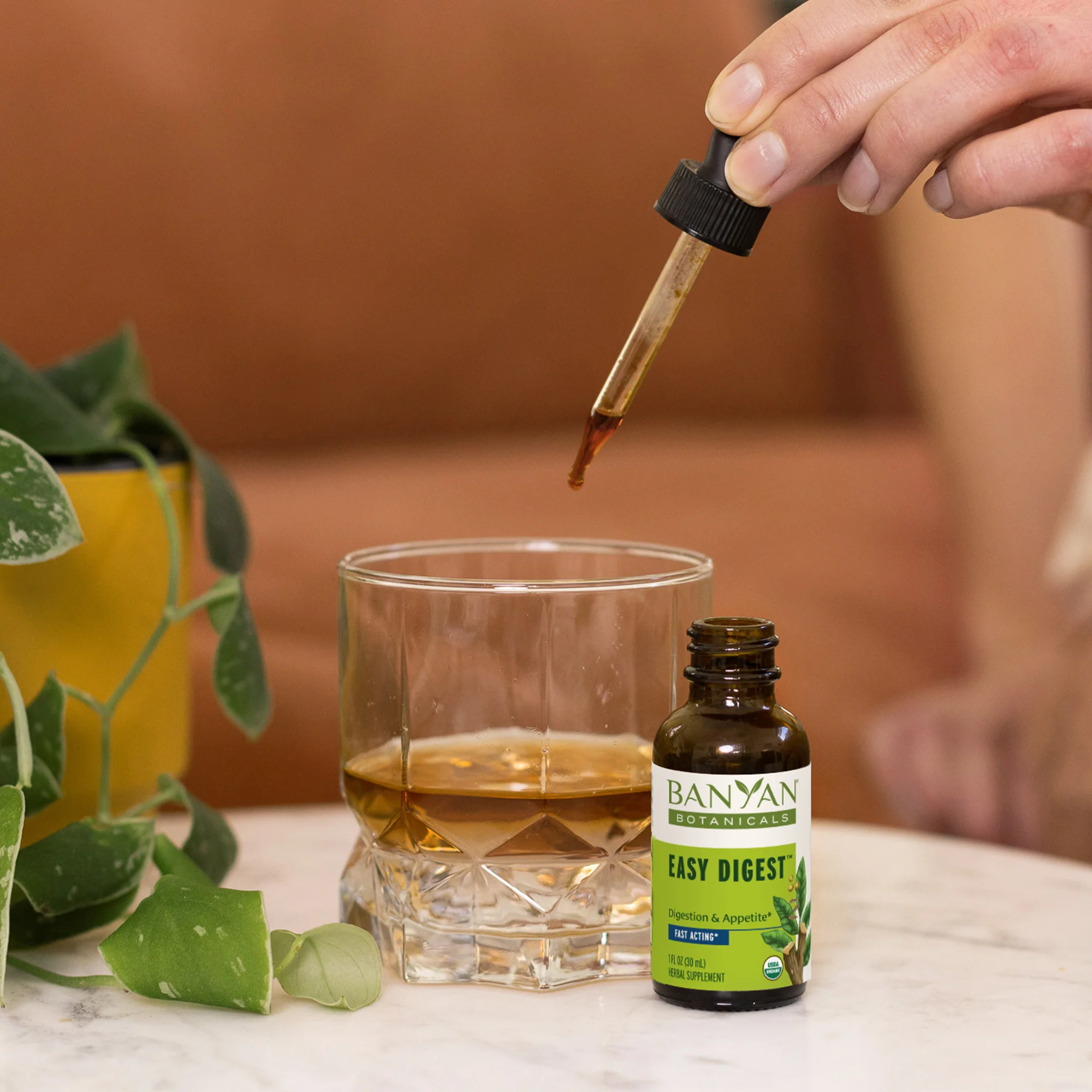 Easy Digest liquid extract - Image 4