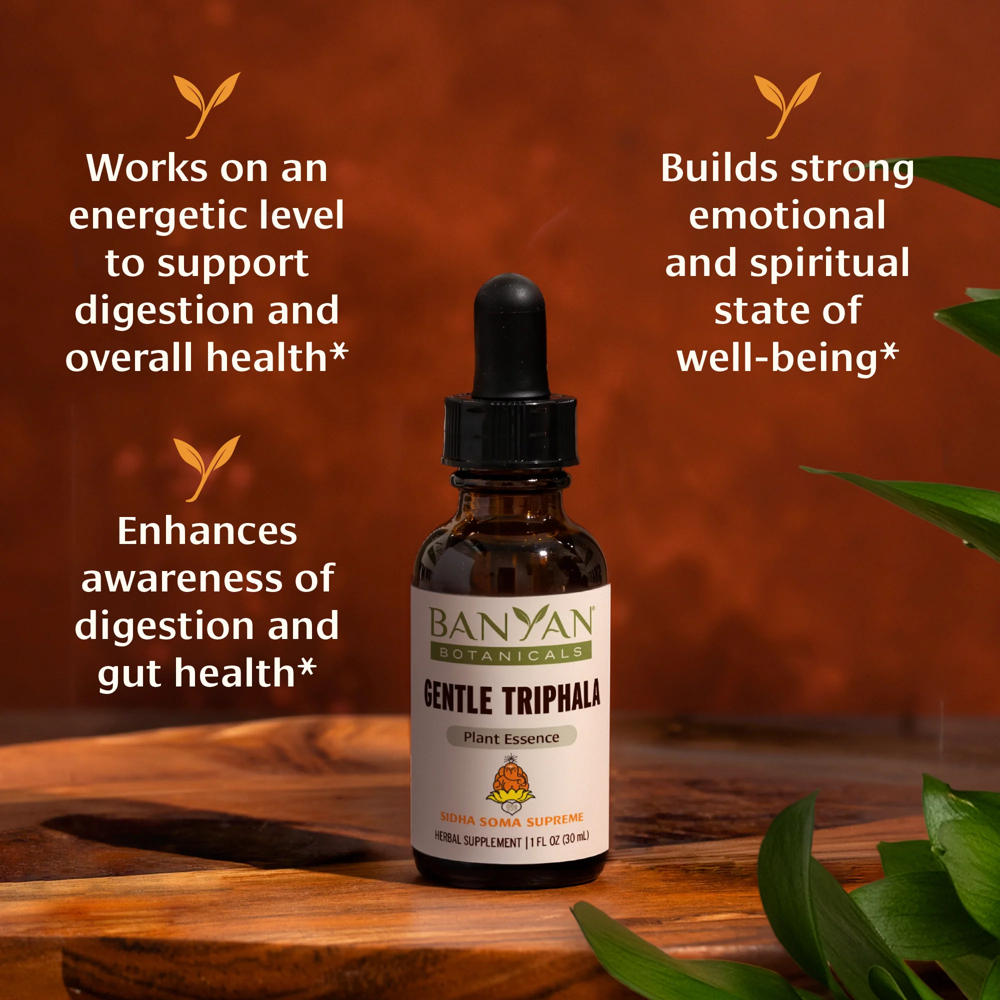 Gentle Triphala Plant Essence - Image 3