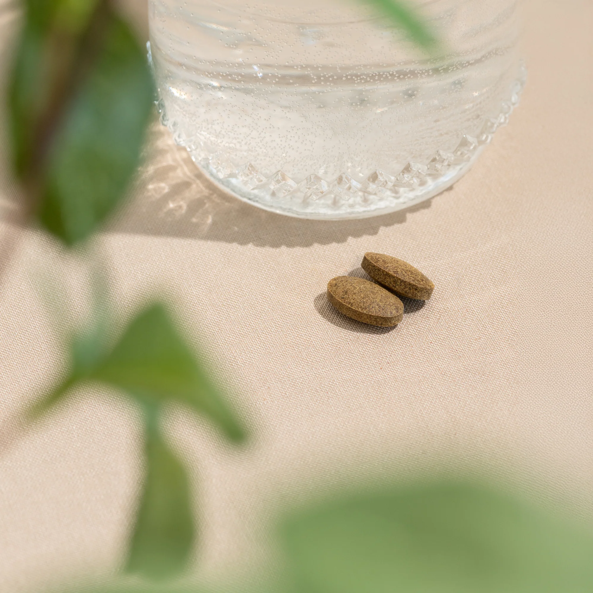 Healthy Pitta™ tablets - Image 4