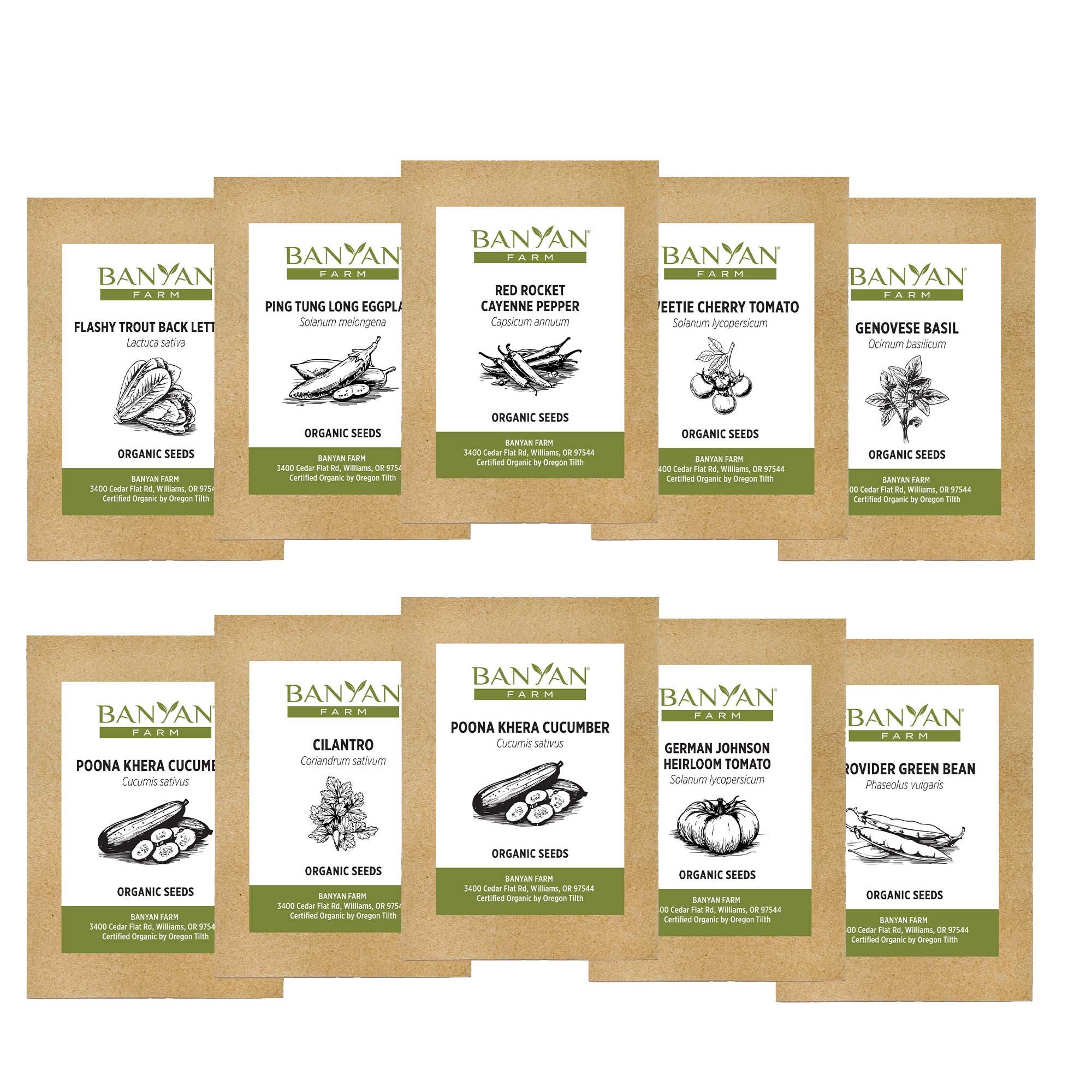 Heirloom Vegetable Seed Bundle - Image 2