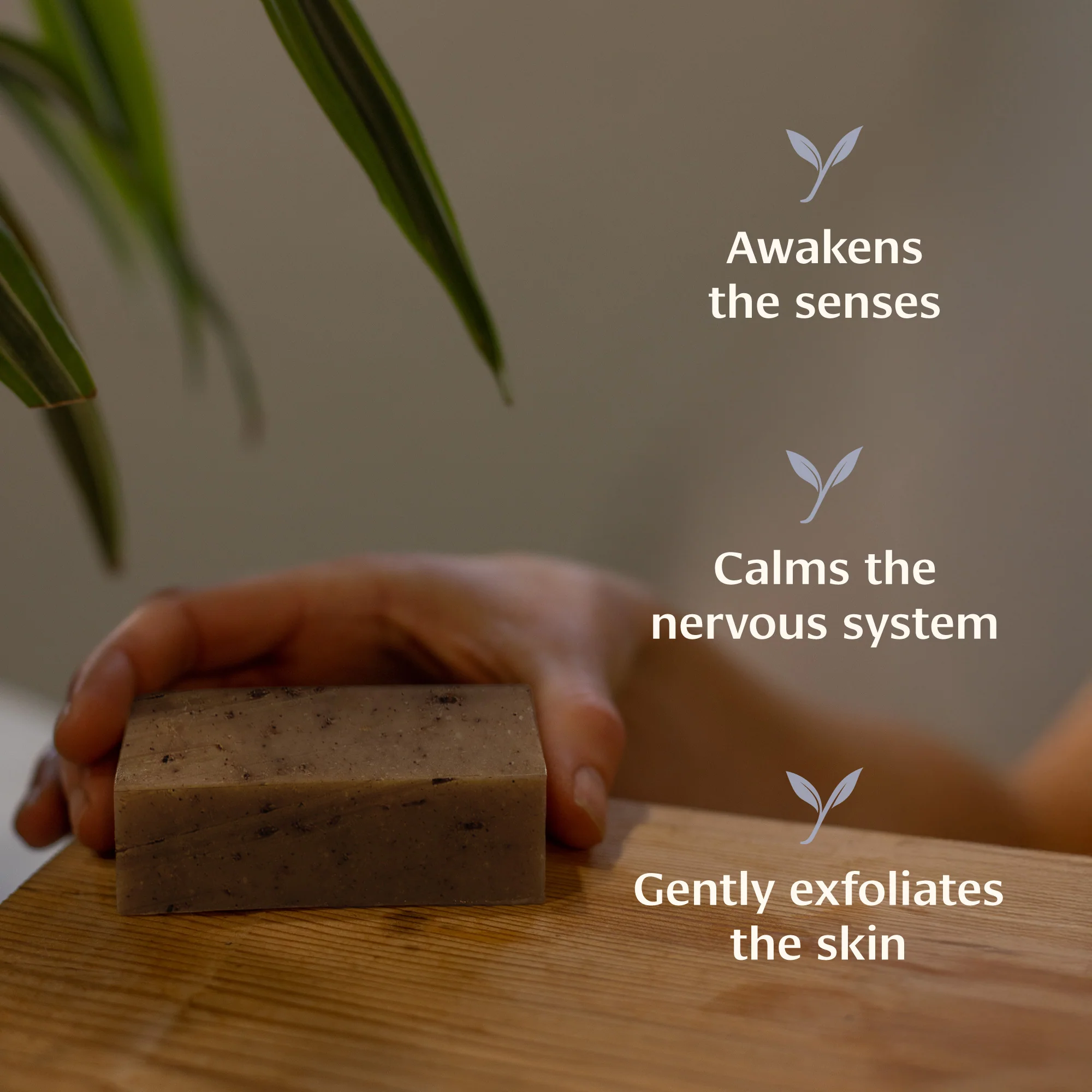Lavender Soap - Image 2