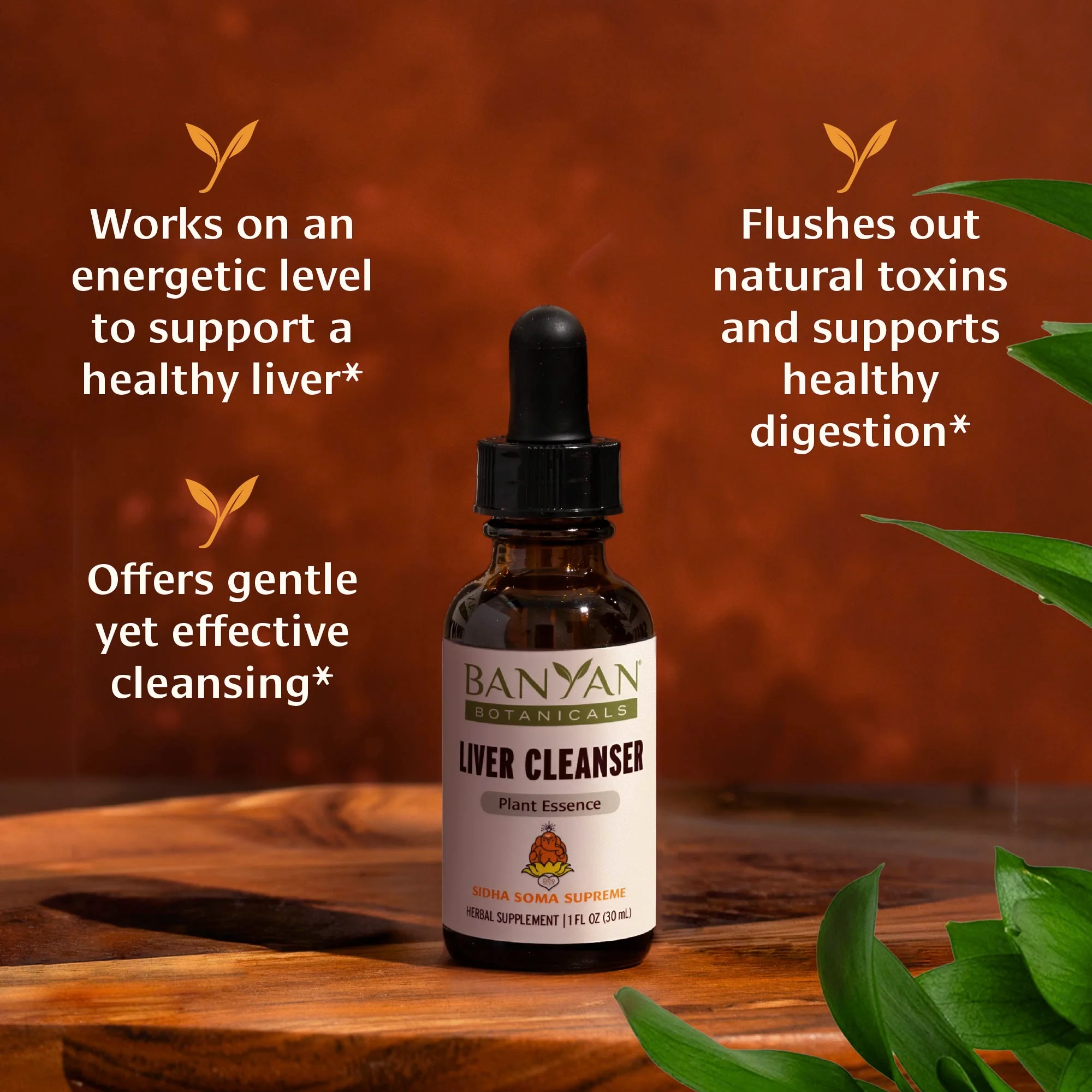 Liver Cleanser Plant Essence - Image 3