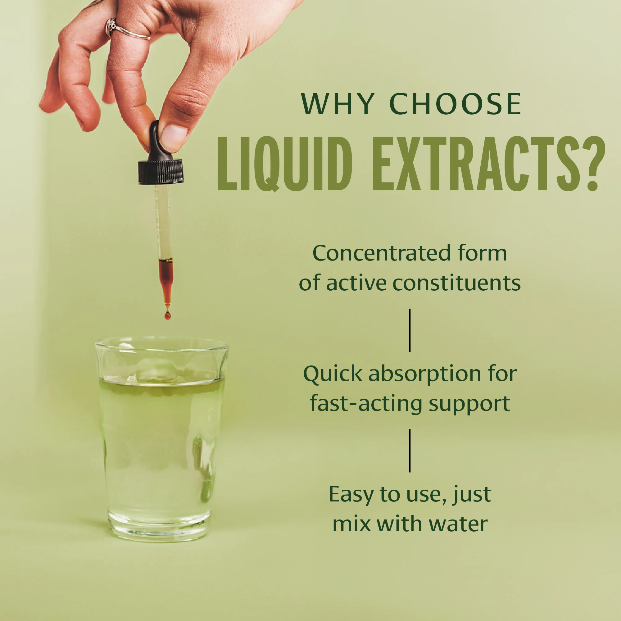 Triphala liquid extract - Image 4