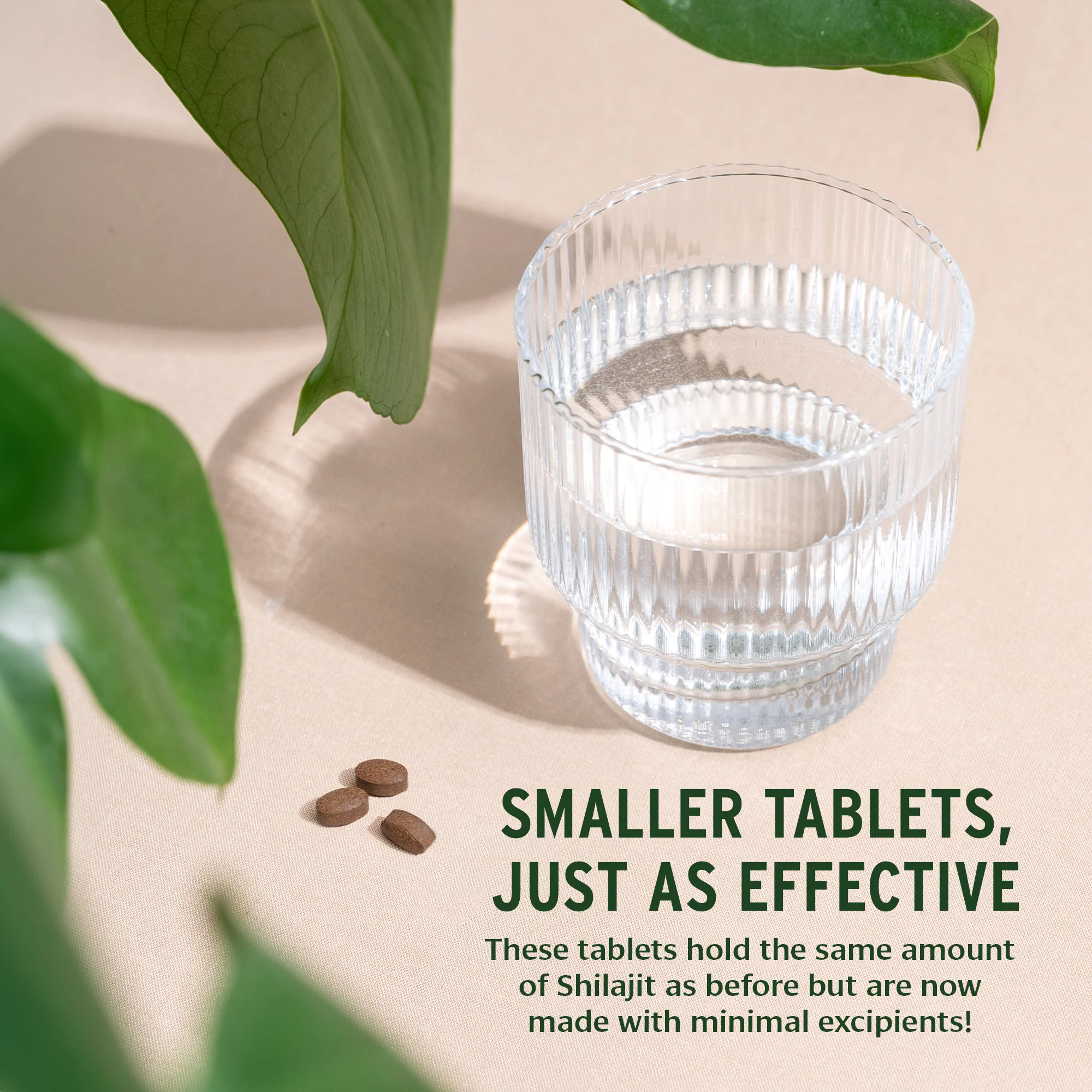 Shilajit tablets - Image 5