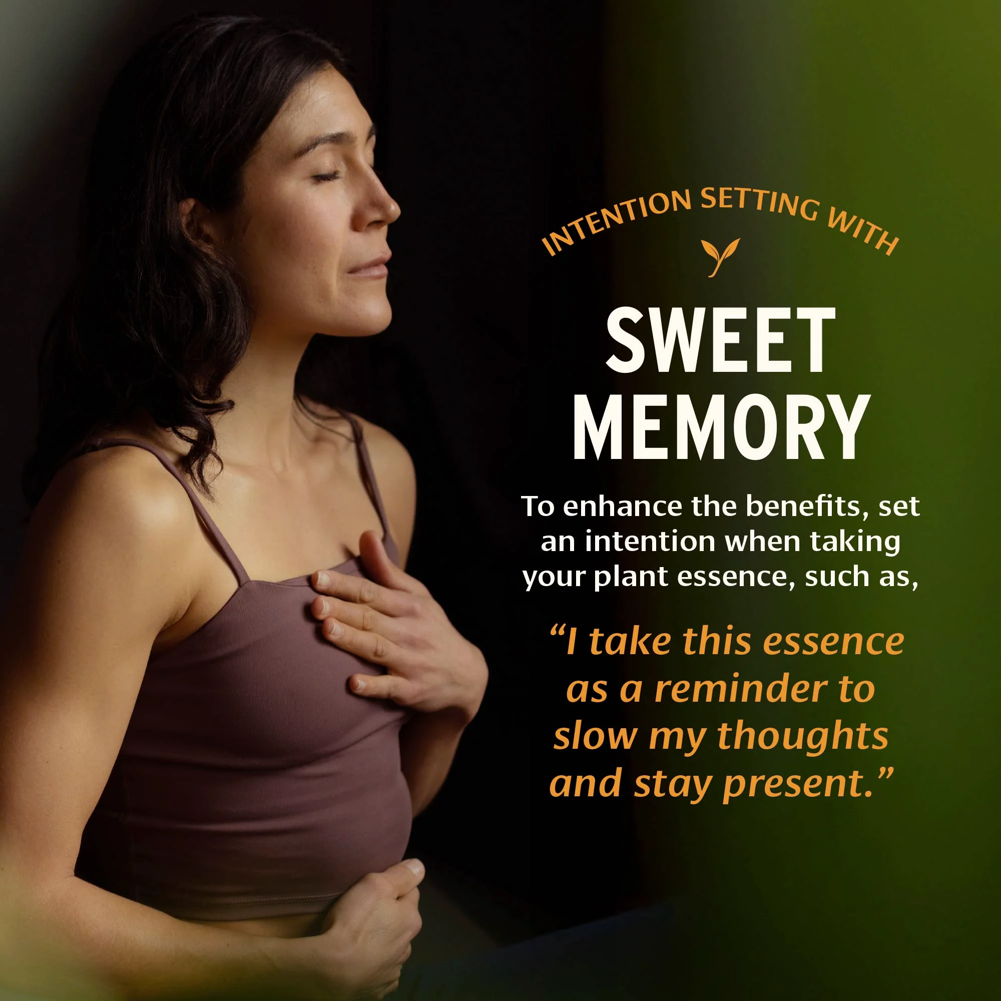 Sweet Memory™ Plant Essence - Image 5