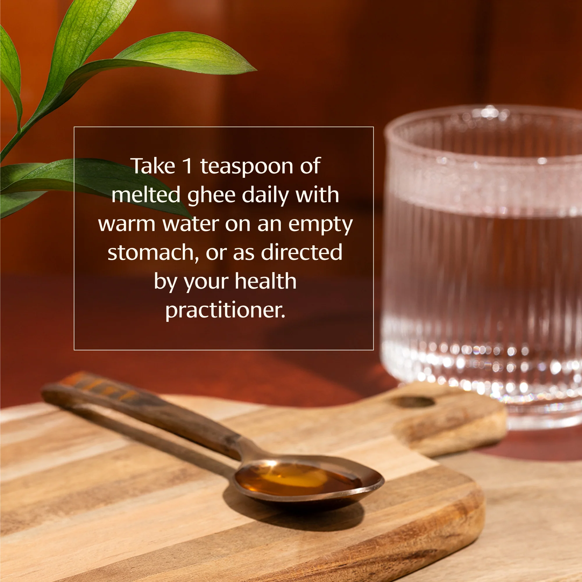 Triphala Ghee - Image 4