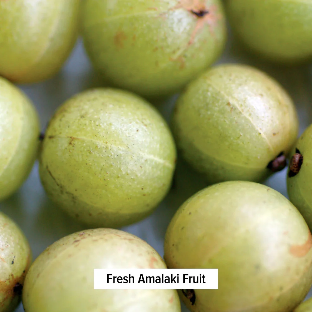 Triphala liquid extract - Image 5