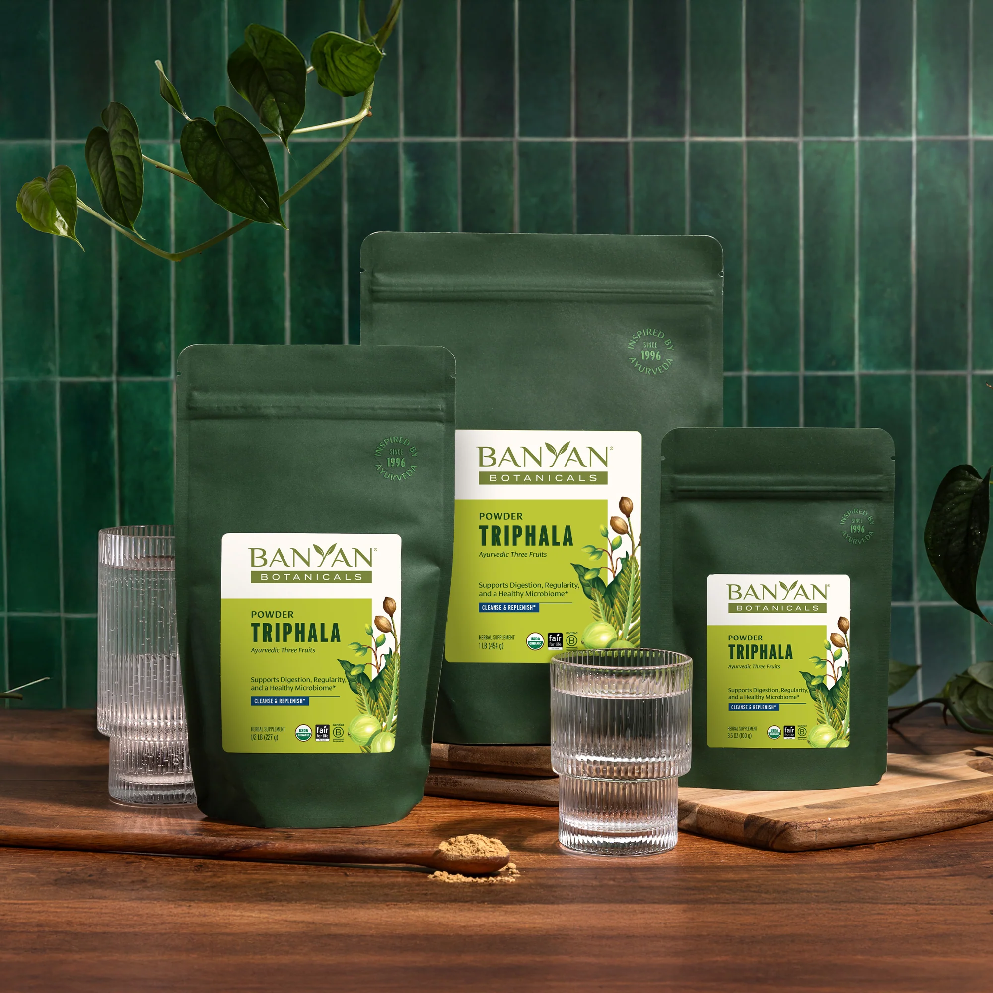 Triphala Powder - Image 5