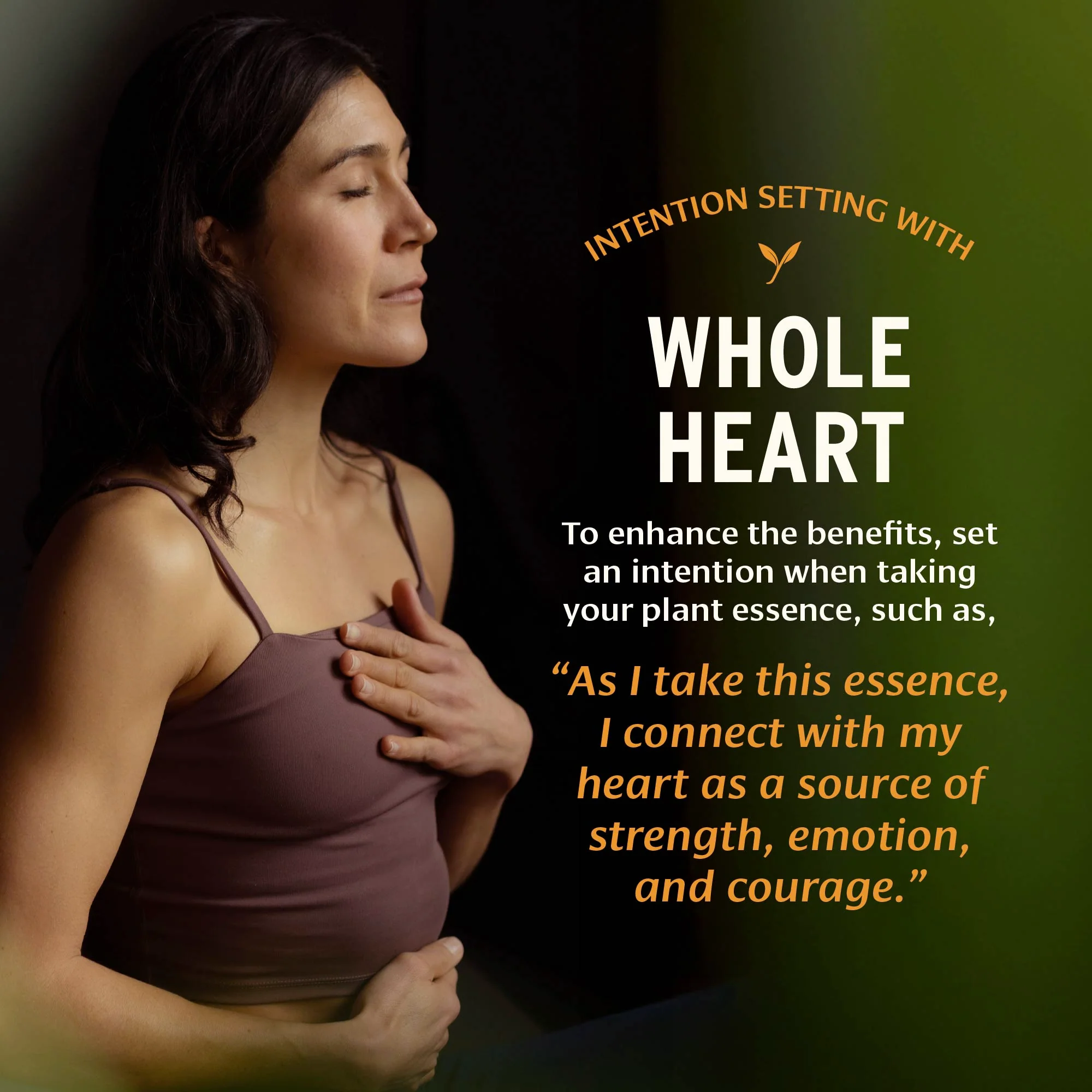 Whole Heart™ Plant Essence - Image 4